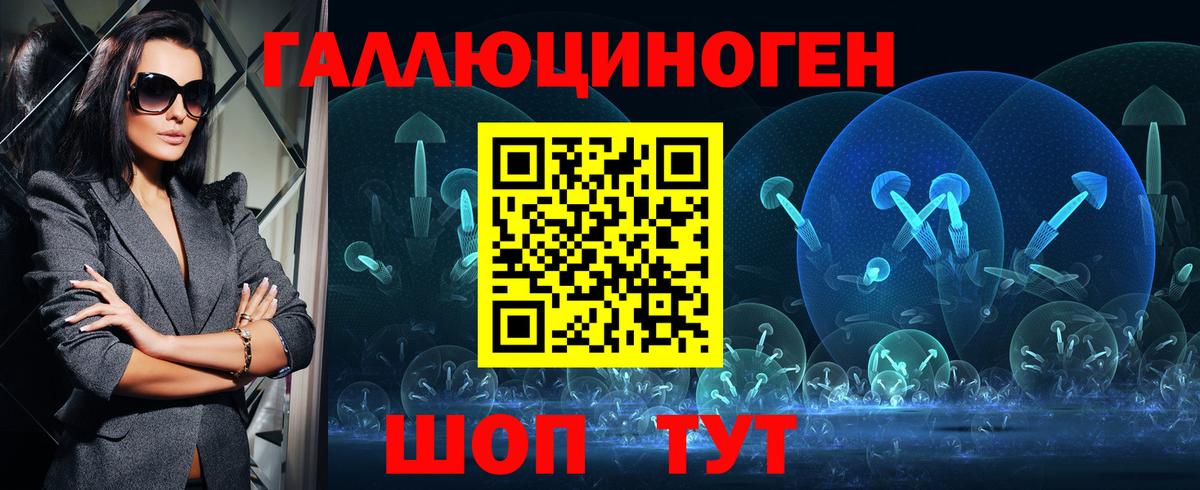Псилоцибиновые грибы Psilocybe Елабуга