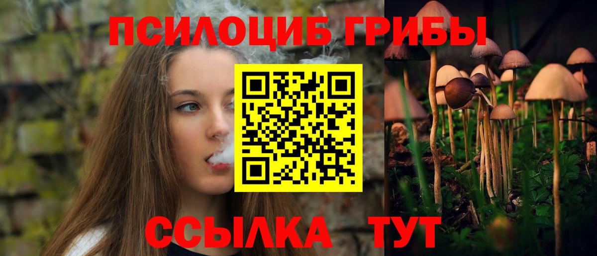 Елабуга  Псилоцибиновые грибы Magic Shrooms  Вход с VPN 