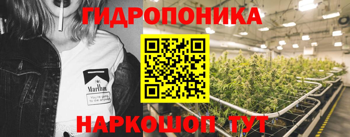 МАРИХУАНА SATIVA & INDICA Елабуга